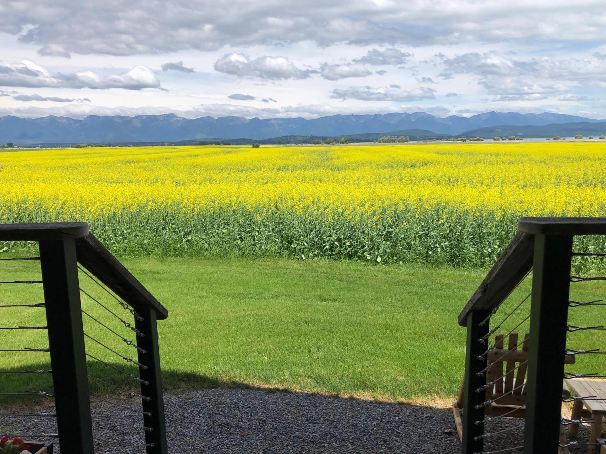 New Cabin With Spectacular Views Of Flathead Lake. Somers Bagian luar foto